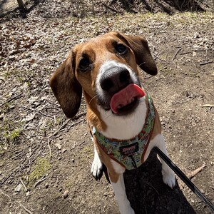 Fundraising Page: Jamie Kracko